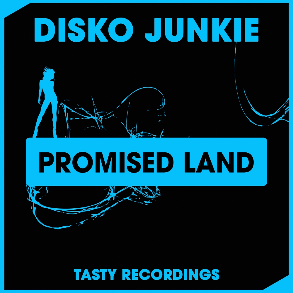 Disko Junkie - Promised Land / Tasty Recordings Digital
