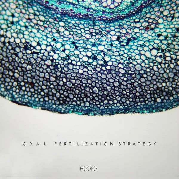Oxal - Fertilization Strategy / FQOTO Records