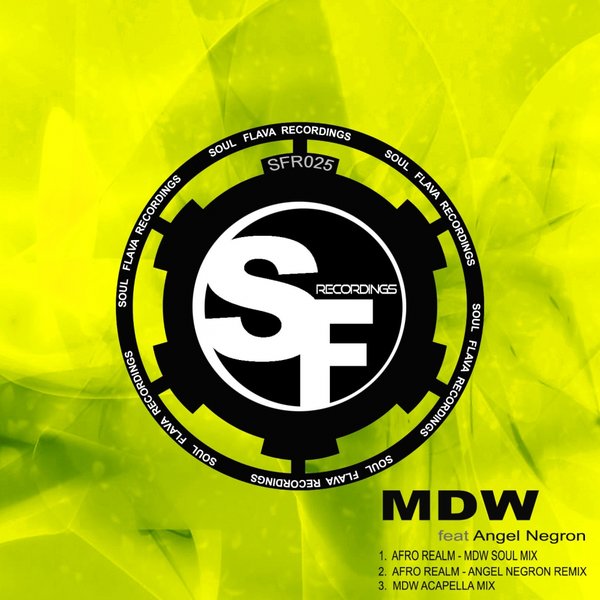 MDW - Afro Realm / Soul Flava Recordings