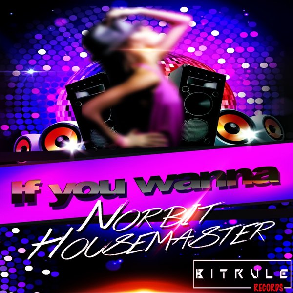 Norbit Housemaster - If You Wanna / Bit Rule Records
