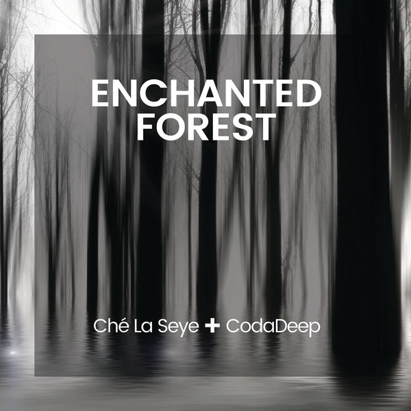 Ché La Seye + Coda Deep - Enchanted Forest / BBE
