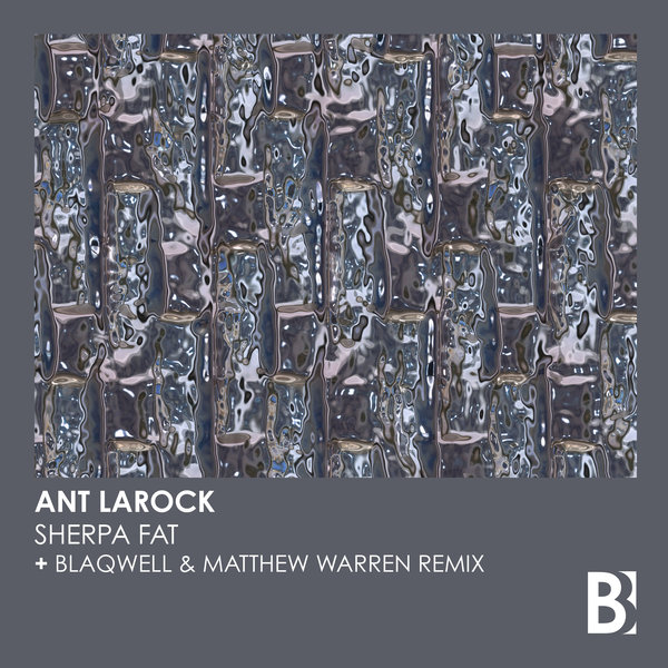 Ant LaRock - Sherpa Fat / BroBot Records