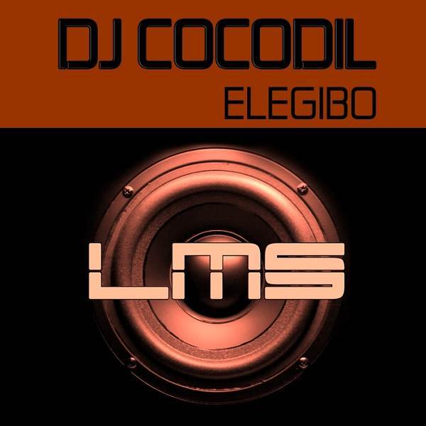 DJ Cocodil - Elegibo / LadyMarySound International