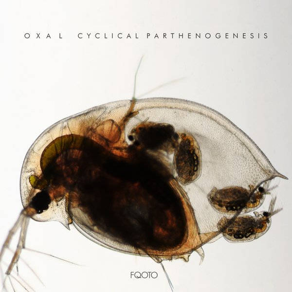 Oxal - Cyclical Parthenogenesis / FQOTO Records