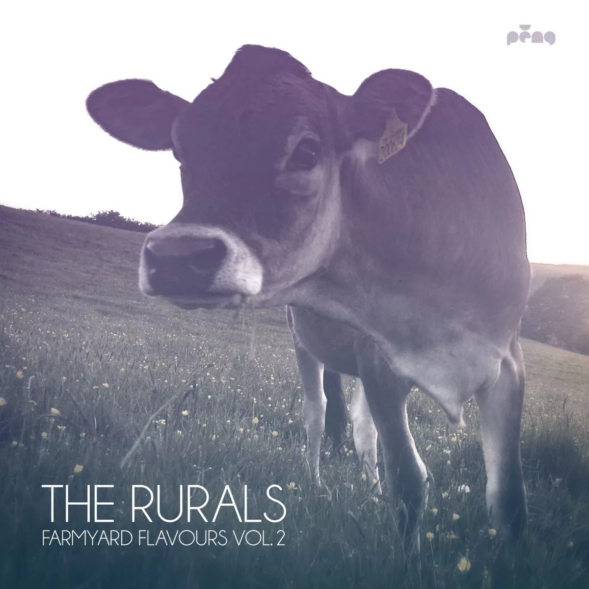 The Rurals - Farmyard Flavours, Vol.2 / Peng