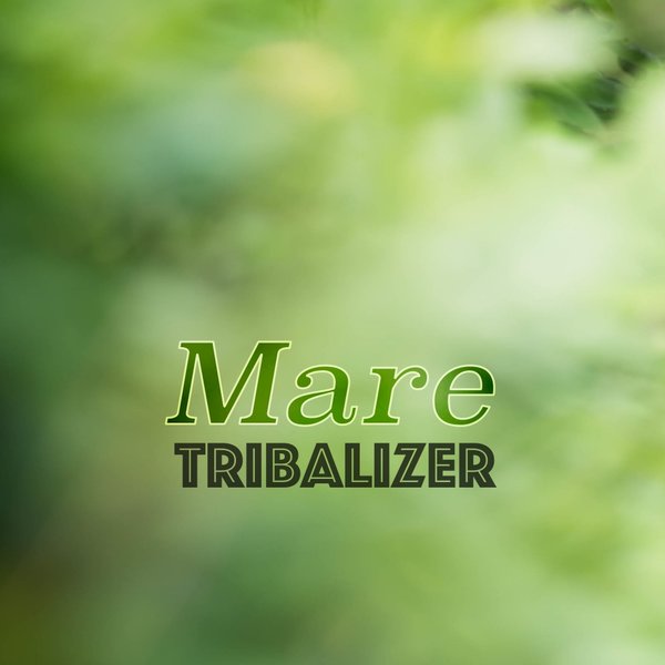 Tribalizer - Mare / McT Luxury