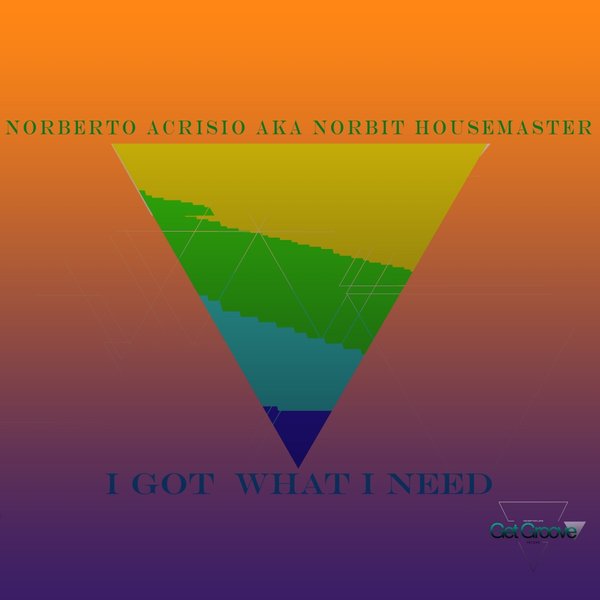 Norbit Housemaster - I Got What I Need / Get Groove Record
