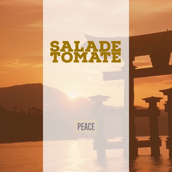 Salade Tomate - Peace / Mycrazything Records