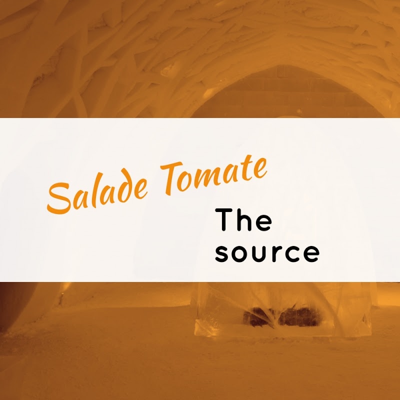 Salade Tomate - The Source / Mycrazything Records