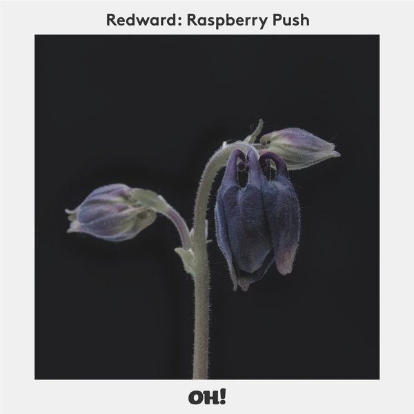 Redward feat. Herbie - Raspberry Push / Oh! Records Stockholm