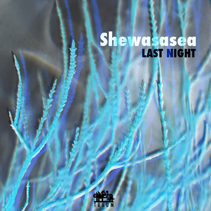Shewasasea - Last Night / Traum Schallplatten