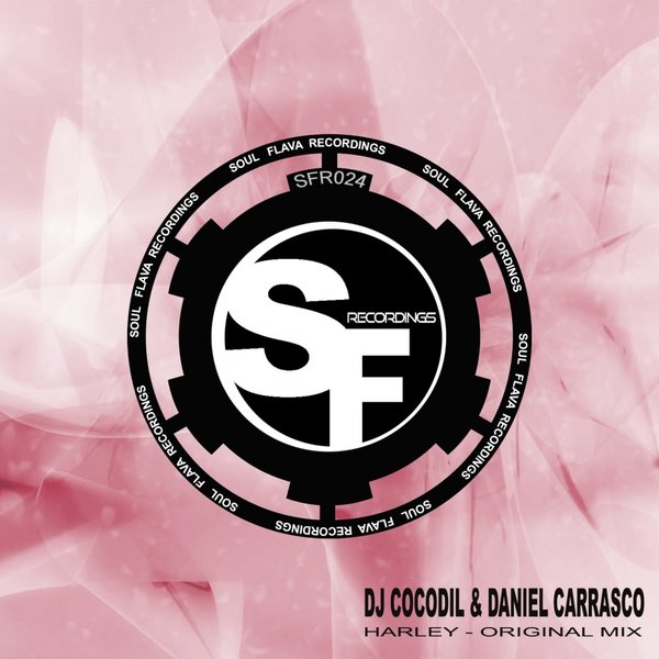 Dj Cocodil & Daniel Carrasco - Harley / Soul Flava Recordings