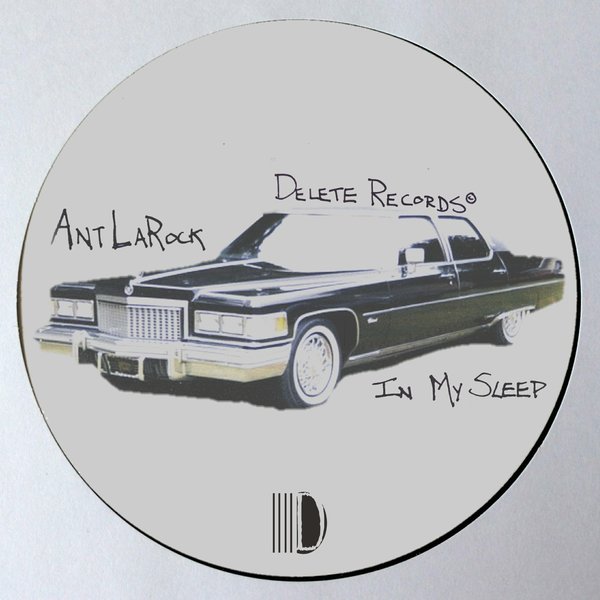 Ant LaRock - In My Sleep / Delete Records