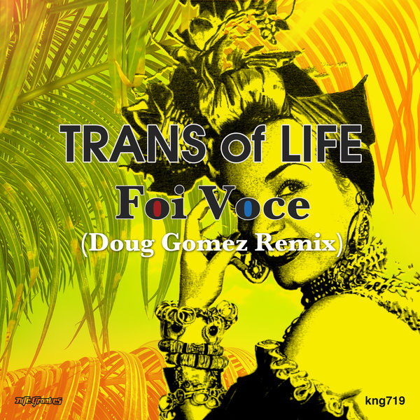 Trans of Life - Foi Voce (Remix) / Nite Grooves