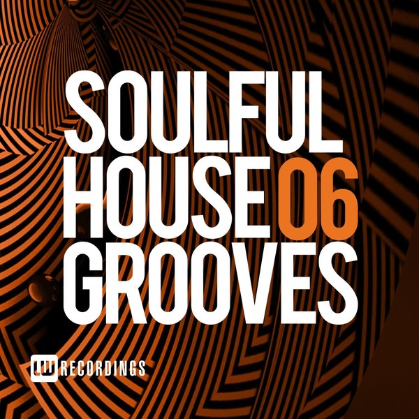 VA - Soulful House Grooves, Vol. 06 / LW Recordings