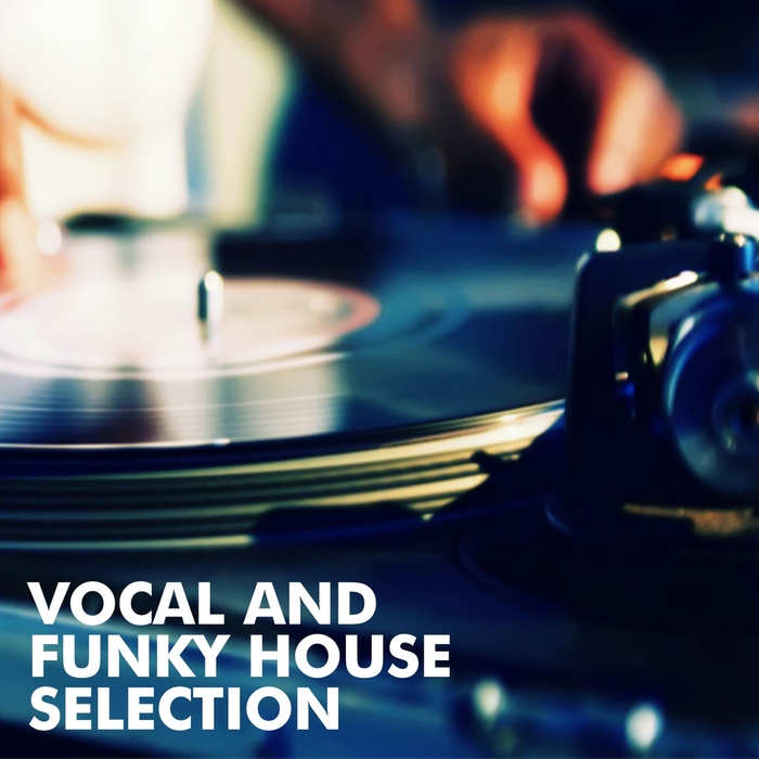 VA - Vocal and Funky House Selection / Sol Musique