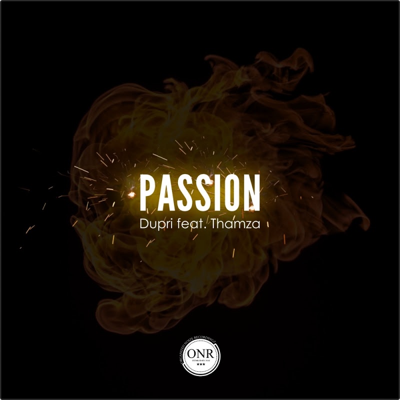 Dupri feat. Thamza - Passion / Organized Noize Recordingz