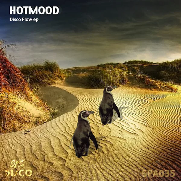 Hotmood - Disco Flow / Spa In Disco