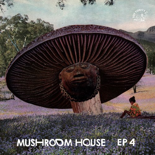 VA - Mushroom House EP4 / Toy Tonics