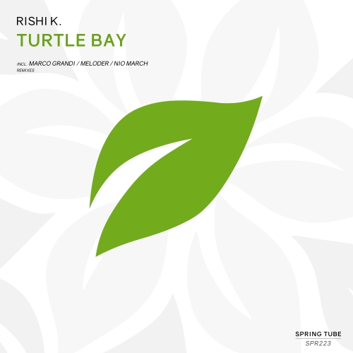 Rishi K. - Turtle Bay / Spring Tube