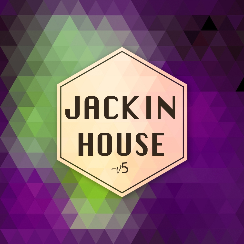VA - Jackin House V5 / Exhilarated Recordings