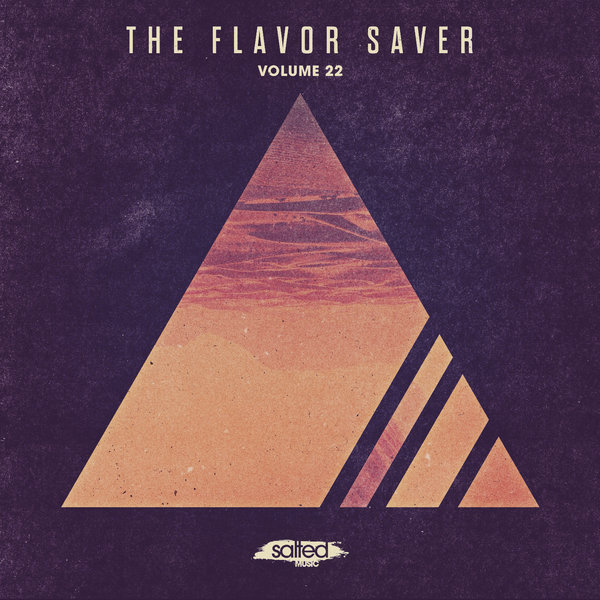 VA - The Flavor Saver Vol. 22 / Salted Music