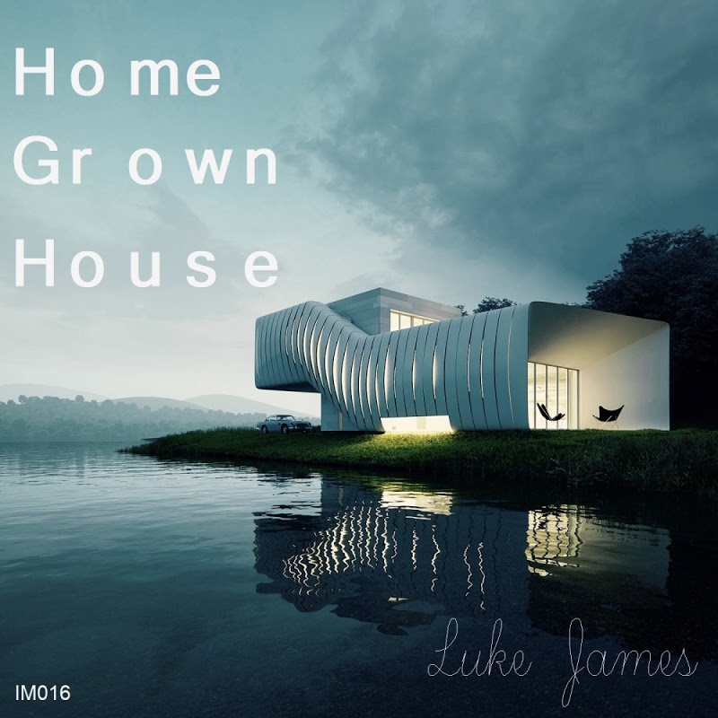 Luke James - Home Grown House / Inspected Music