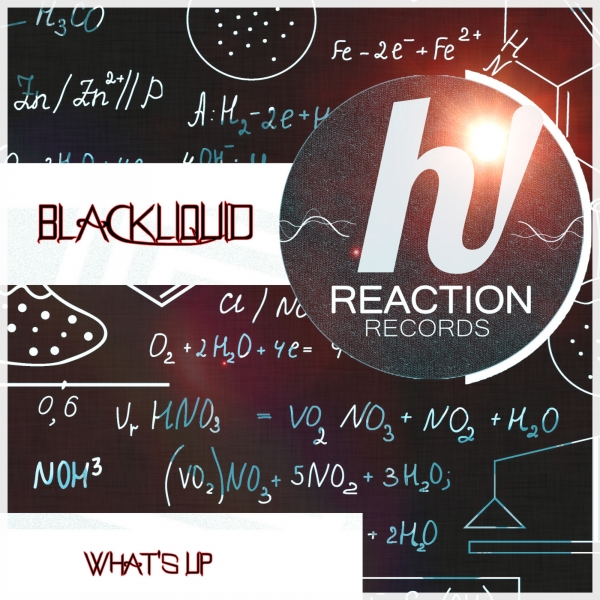 Blackliquid - What's Up / Hi! Reaction