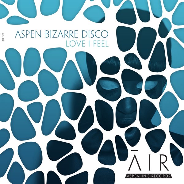 aspen bizarre disco - Love I Feel / Aspen Inc Records