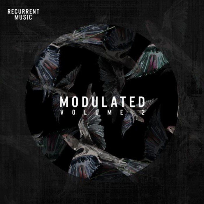 VA - Modulated Vol 2 / Recurrent Music