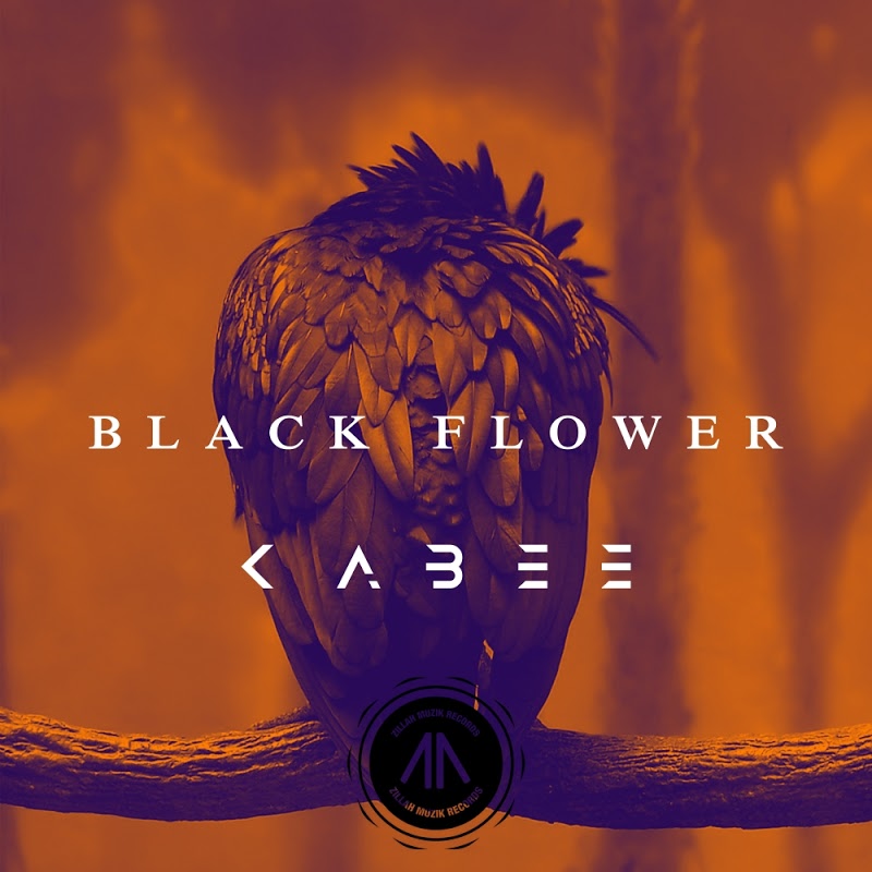 Kabee - Black Flower / Zillah Muzik Records
