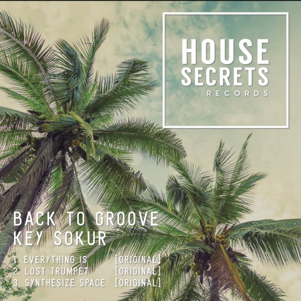 Key Sokur - Back To Groove / House Secrets Records