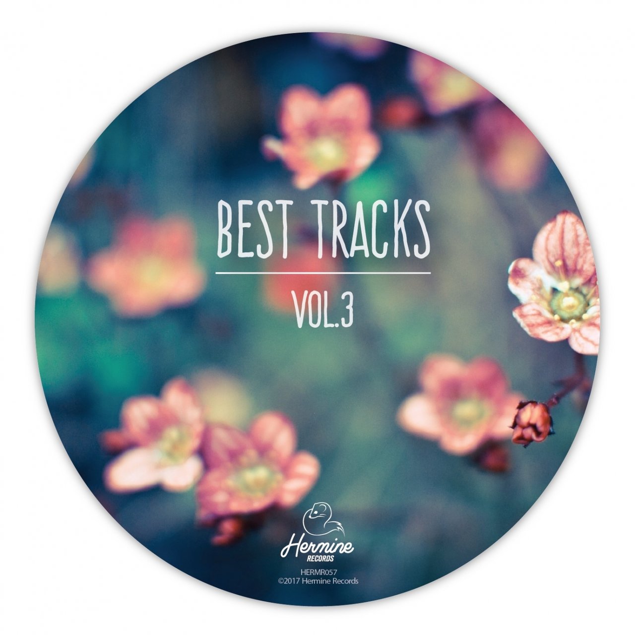 VA - Best Tracks, Vol. 3 / Hermine Records