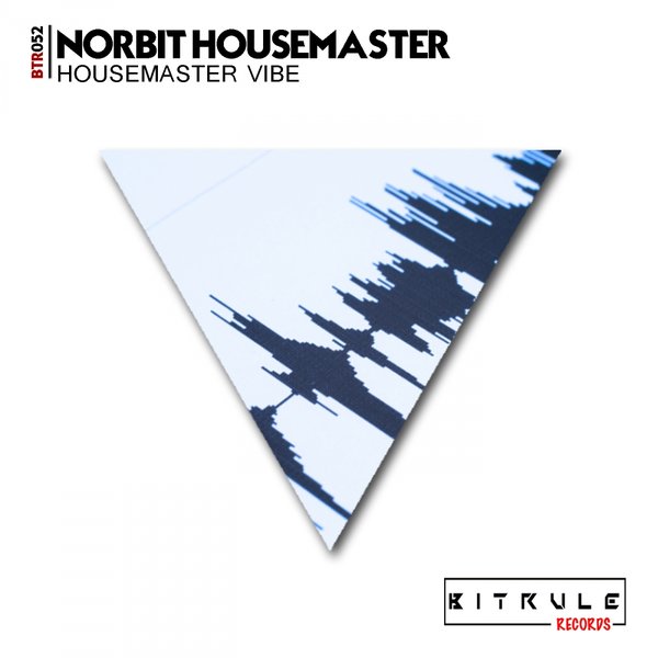 Norbit Housemaster - Housemaster Vibe / Bit Rule Records