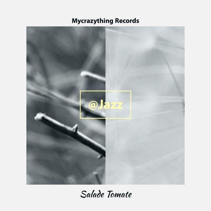 Salade Tomate - @jazz / Mycrazything Records