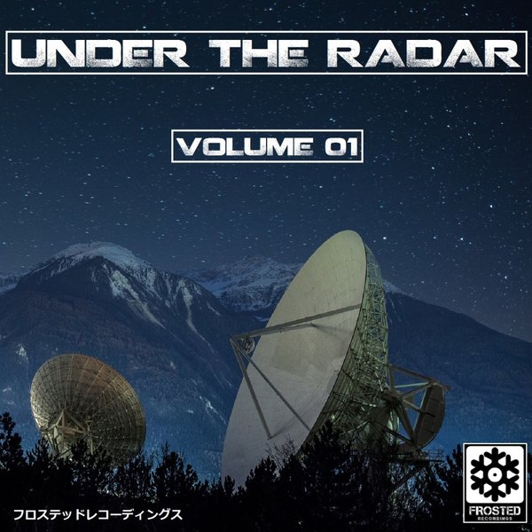 VA - Under The Radar Vol. 1 / Frosted Recordings