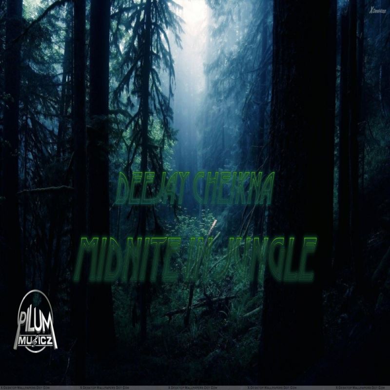 Deejay Cheikna - Midnite In Jungle / Pilum Musicz