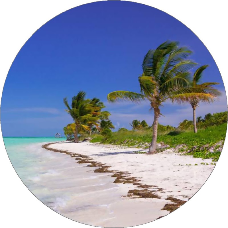 X-Coast - Yucatan Channel / Lost Palms