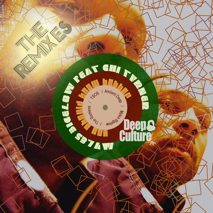 Myles Bigelow feat. Chi Turner - You Should Know Better - The Remixes / Deep Culture Music