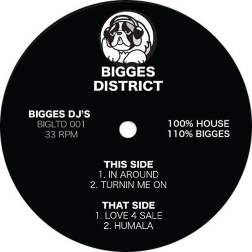 BIGGES DJ'S - 100% House, 110% BIGGES / Bigges District