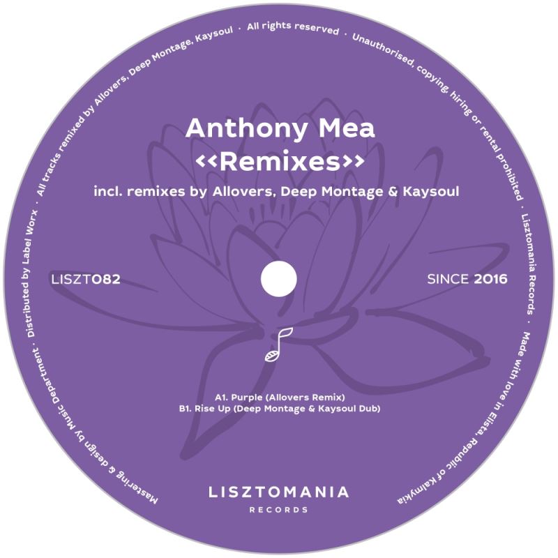 Anthony Mea - Remixes / Lisztomania Records