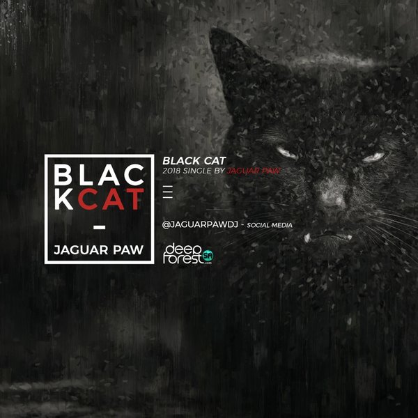 Jaguar Paw - Black Cat / DeepForestSA