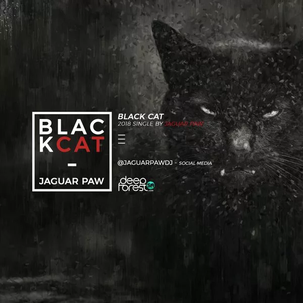 Jaguar Paw - Black Cat / DeepForestSA