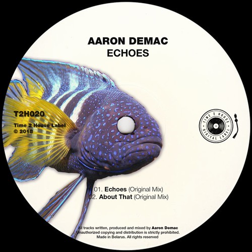 Aaron Demac - Echoes / Time 2 House