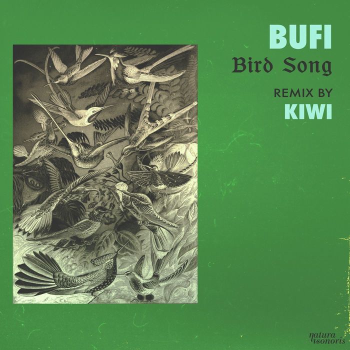 Bufi - Bird Song / Natura Sonoris
