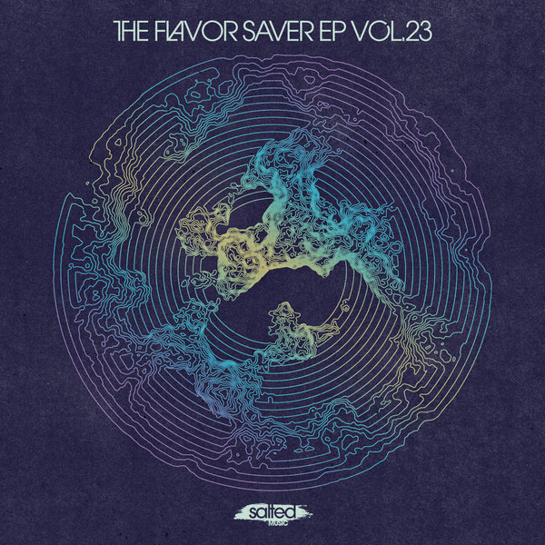 VA - The Flavor Saver Vol 23 / Salted Music