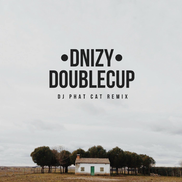 Dnizy - Double Cup / Phat Cat Productions