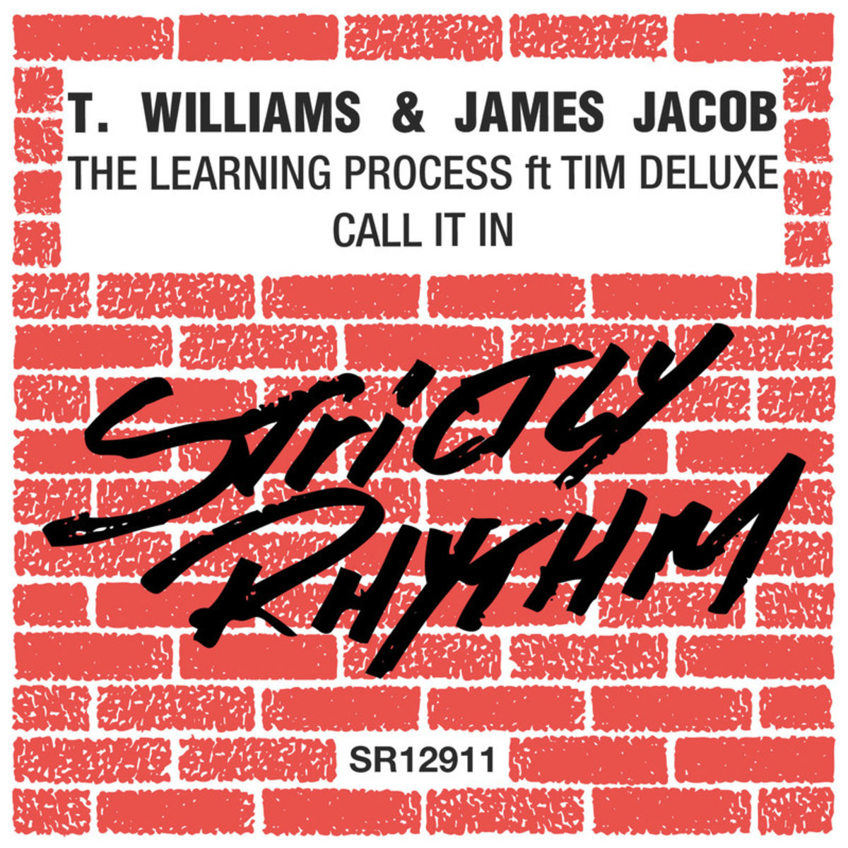 T. Williams - The Learning Process / Strictly Rhythm Records