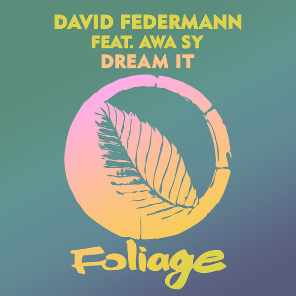 David Federmann - Dream It / Foliage Records