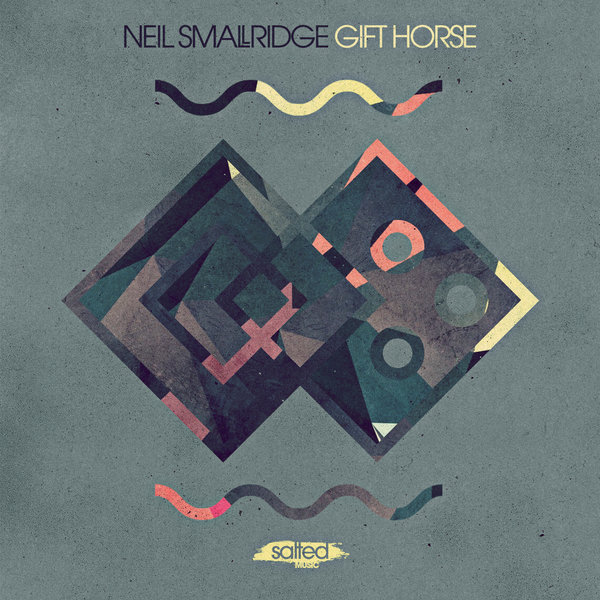 Neil Smallridge - Gift Horse / Salted Music